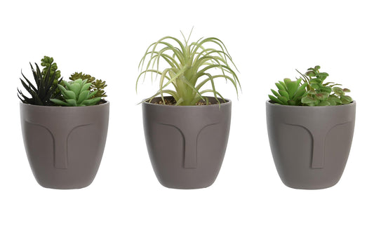 Set de 3 Macetas con plantas decorativas 15 cm Juan